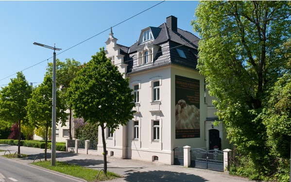 Frisurgestaltung und Pflege